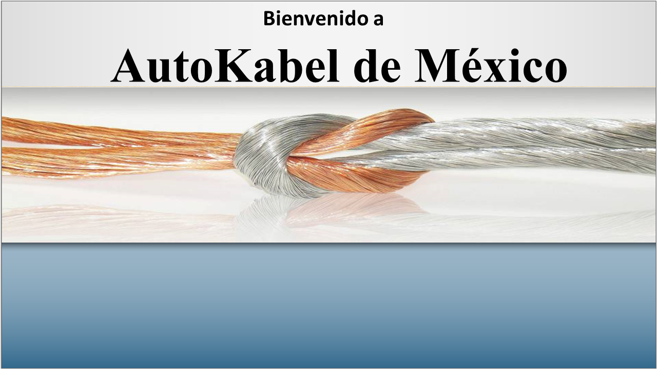 Autokabel de Mexico