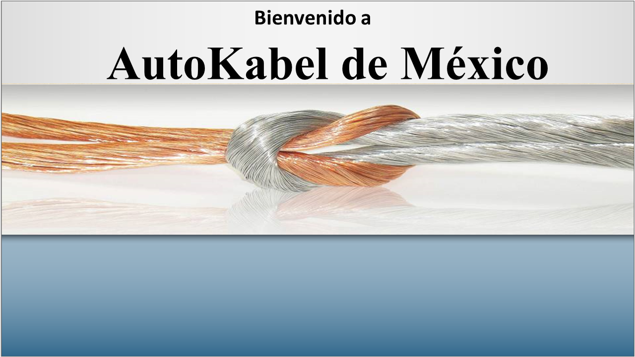 AutoKabel Mexico